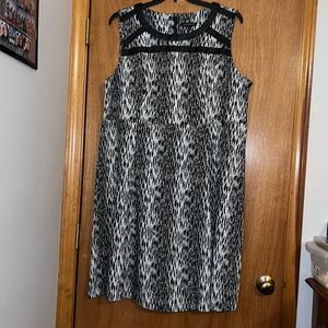 Black and White Zebra Plus Size Dress!